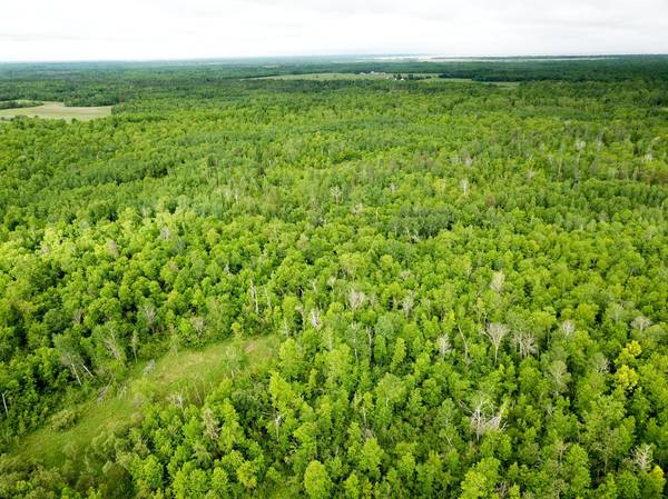 TBD Cormorant RD NE, Kelliher, MN 56650