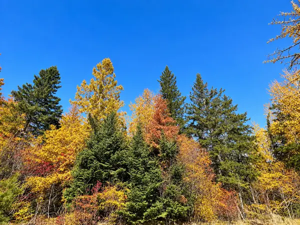 Parcel B Township Road D, Wawina, MN 55736