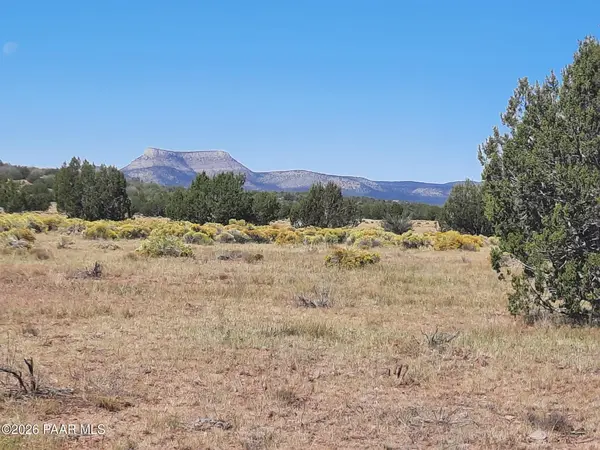 Lot 1371 Last Chance RD, Seligman, AZ 86337