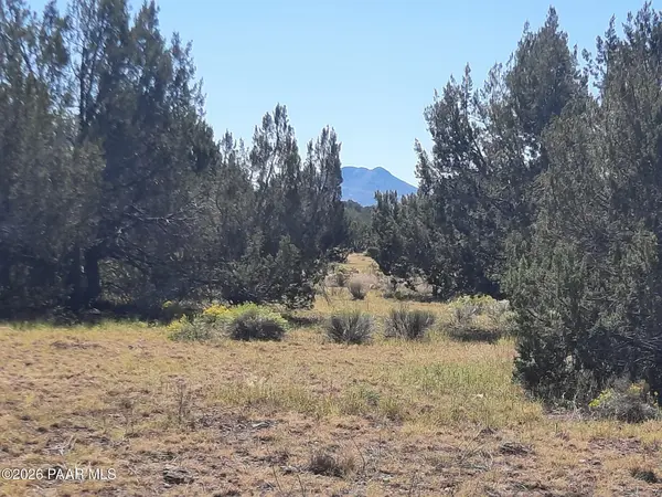 Lot 1371 Last Chance RD, Seligman, AZ 86337