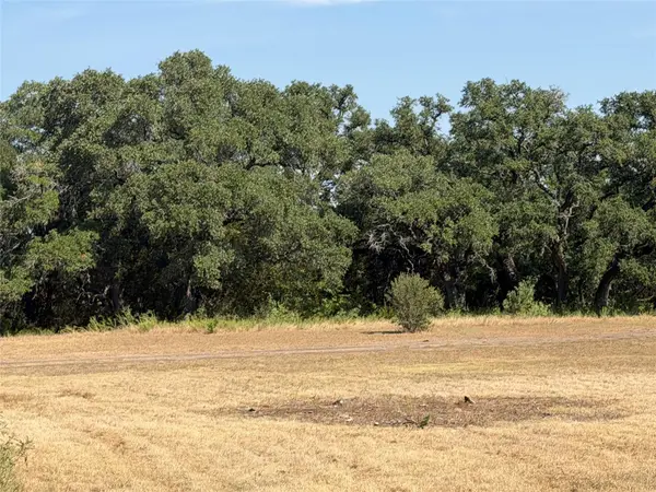 463 Rolling Hills DR, Lampasas, TX 76550