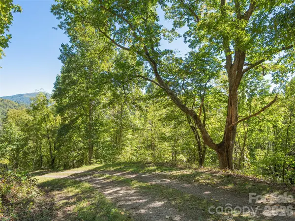 00 Mcnary DR, Clyde, NC 28721