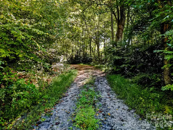 172 Rocky Top Ridge DR, Fletcher, NC 28732