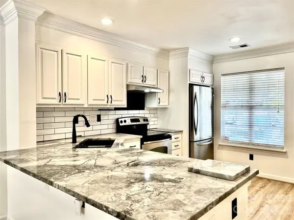 10132 Reindeer Way LN, Charlotte, NC 28216