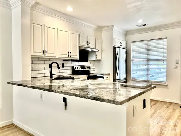10132 Reindeer Way LN, Charlotte, NC 28216