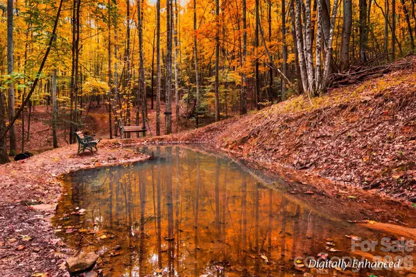 0000 Chestnut Grove RD, Millers Creek, NC 28651