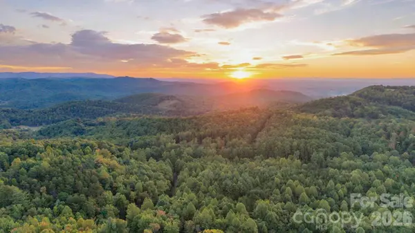 0000 Chestnut Grove RD, Millers Creek, NC 28651
