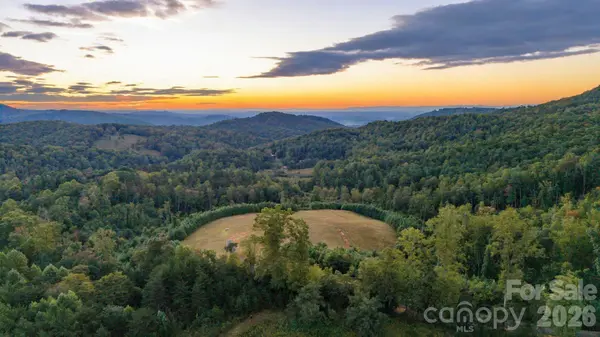 0000 Chestnut Grove RD, Millers Creek, NC 28651