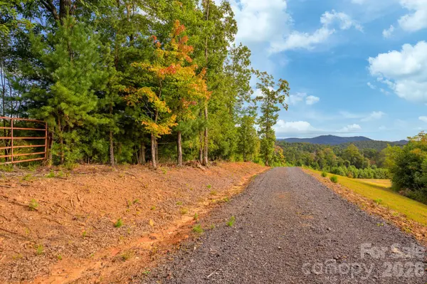0000 Chestnut Grove RD, Millers Creek, NC 28651