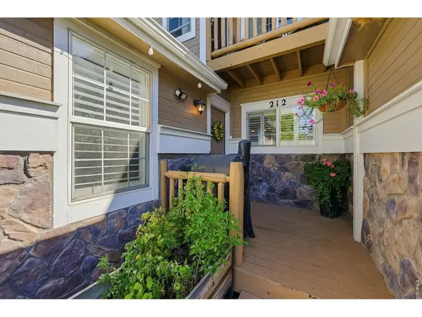 212 Rock Bridge, Windsor, CO 80550