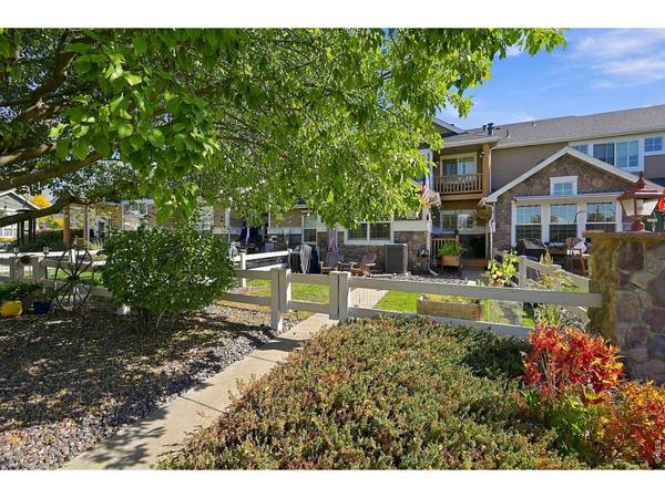 212 Rock Bridge, Windsor, CO 80550