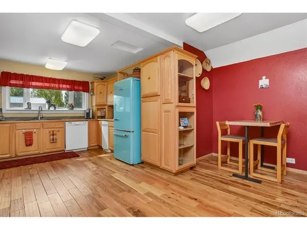 138 N Pleasant, Buena Vista, CO 81211