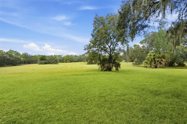 29025 SE 150TH ST, Altoona, FL 32702