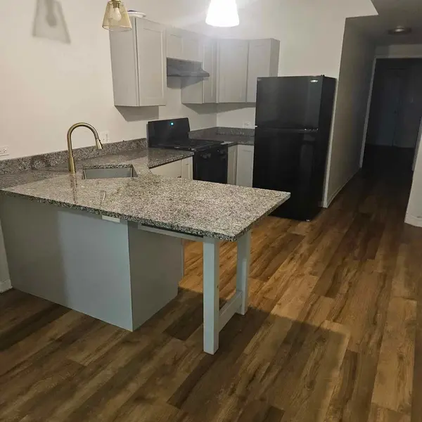 5236 W Washington BLVD #1, Chicago, IL 60644