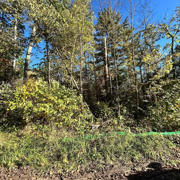 TBD Edna Lake RD, Nisswa, MN 56468