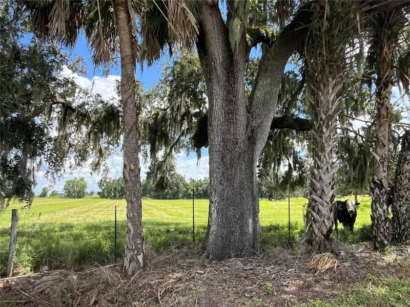 JOHNS RD, Wauchula, FL 33873