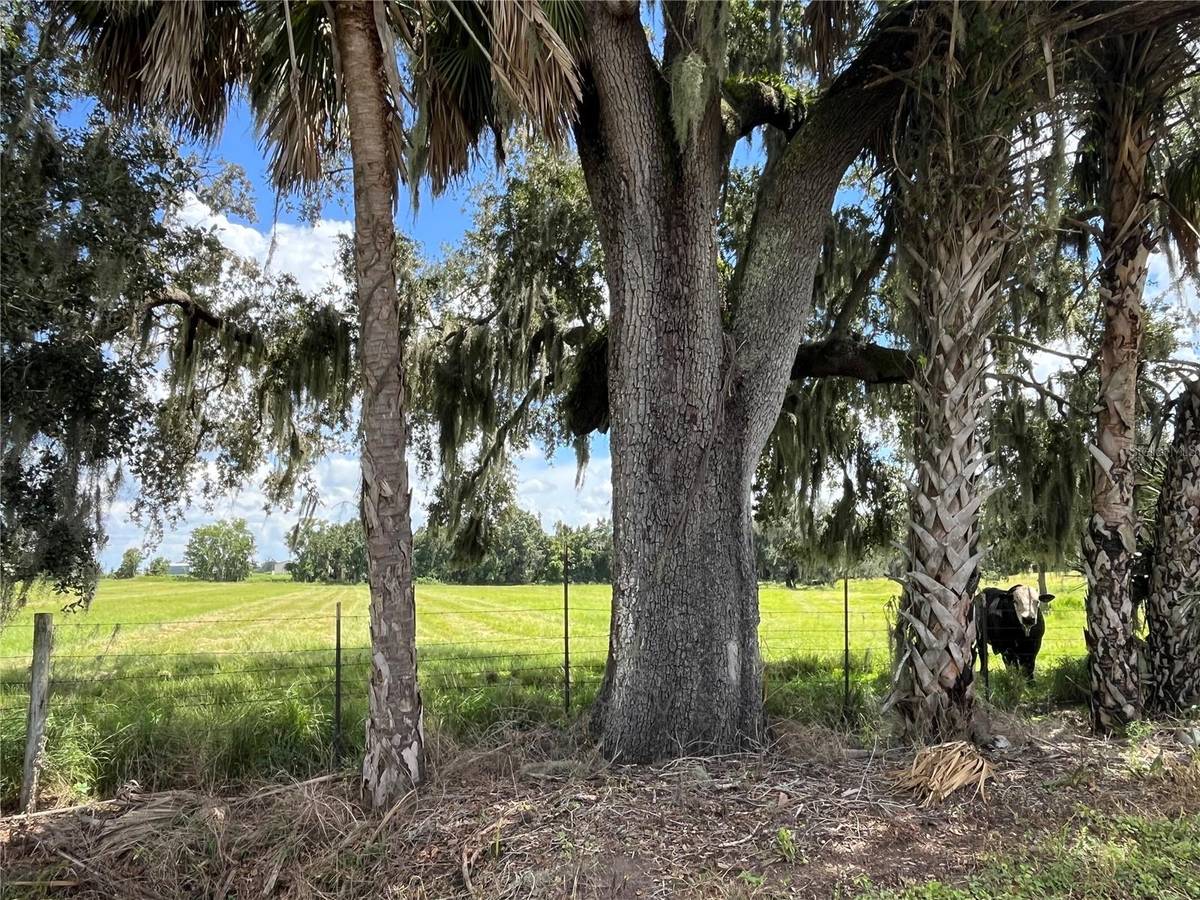 JOHNS RD, Wauchula, FL 33873