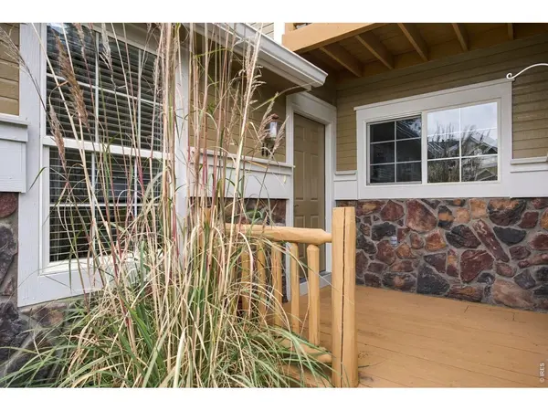 114 Bayside, Windsor, CO 80550