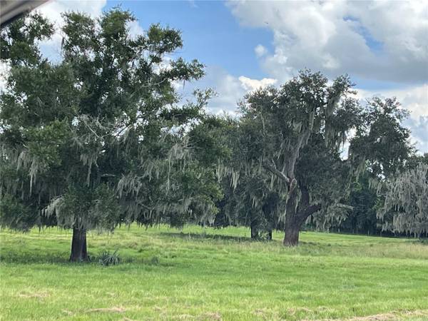 JOHNS RD, Wauchula, FL 33873