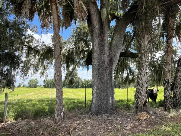 JOHNS RD, Wauchula, FL 33873