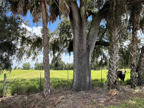 JOHNS RD, Wauchula, FL 33873