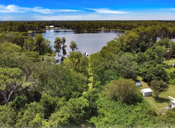 16928 CRAWLEY RD, Odessa, FL 33556