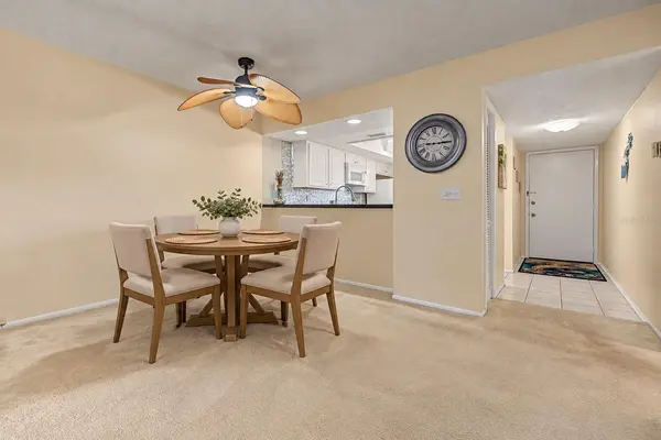 110 LAKESIDE CT #110, Oldsmar, FL 34677