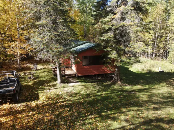41748 Teal RD, Bigfork, MN 56628