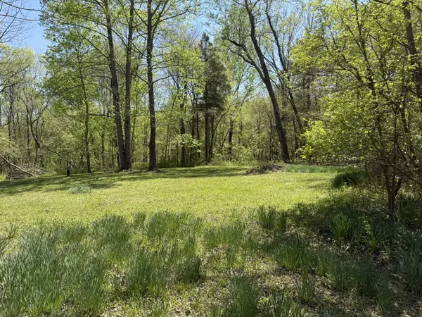 534 Whitney Branch Rd, Springville, TN 38256