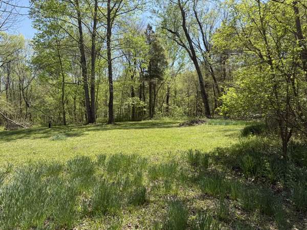 534 Whitney Branch Rd, Springville, TN 38256