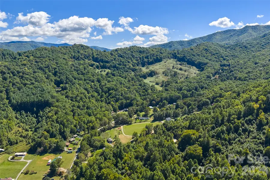 60 Spring Mountain DR, Canton, NC 28716