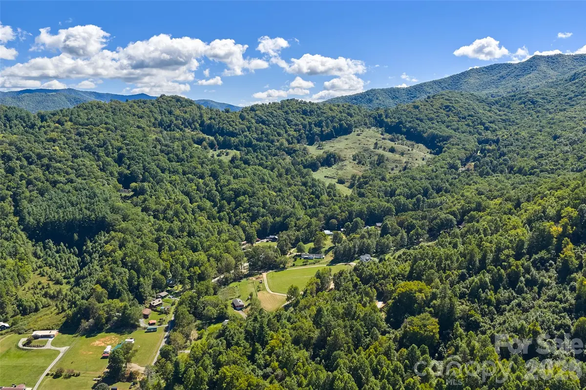 60 Spring Mountain DR, Canton, NC 28716