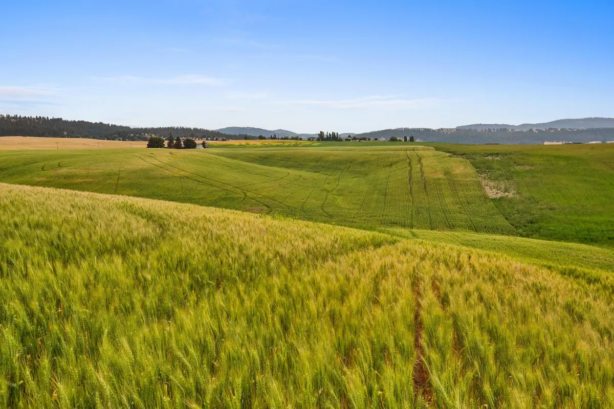 NKA N Bruce Rd #Lot 3, Spokane, WA 99021