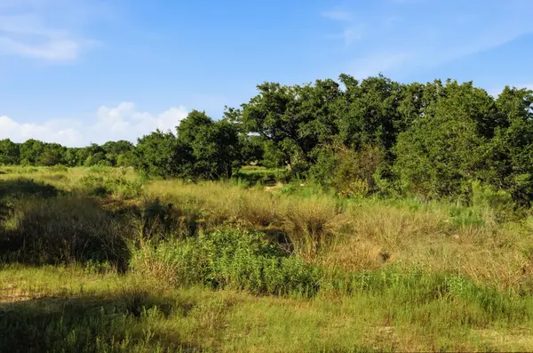 TBD Lot 35 Ranchero ST, Bertram, TX 78605