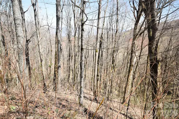 000 Big Laurel RD #A-16 & A-17, Waynesville, NC 28785
