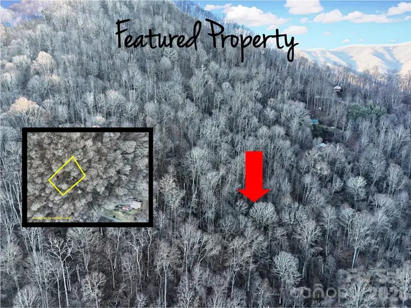 TBD Vireo LN, Waynesville, NC 28785