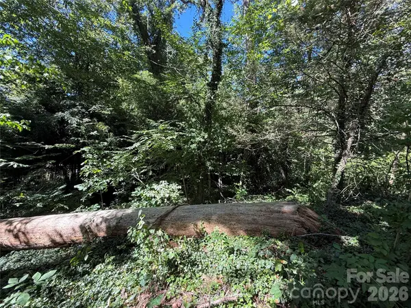 99999 Roebling CIR #38, Asheville, NC 28803