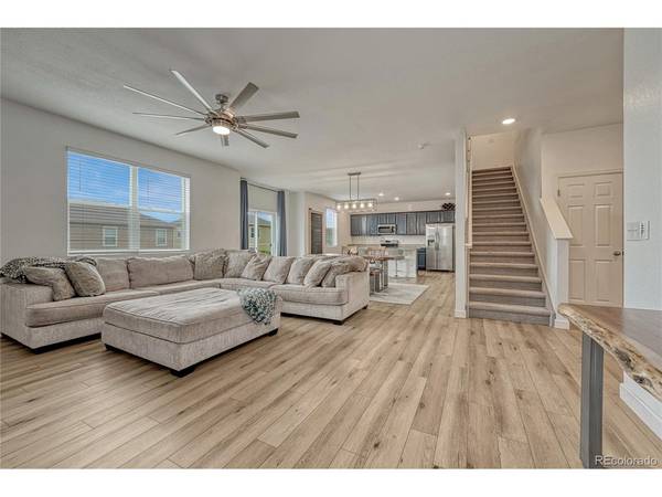 6024 High Timber, Castle Rock, CO 80104
