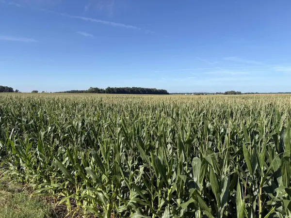 TBD 800 S 200 E ***, Warren, IN 46792