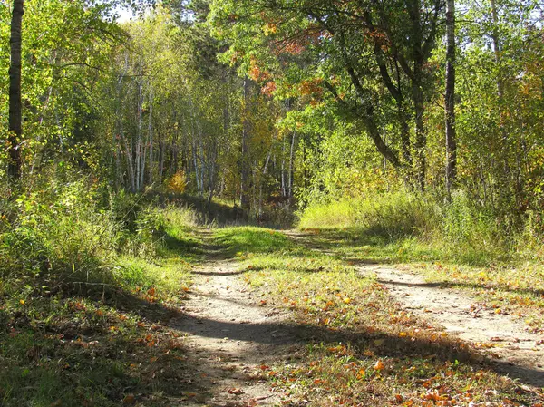 XXX US 71, Park Rapids, MN 56470