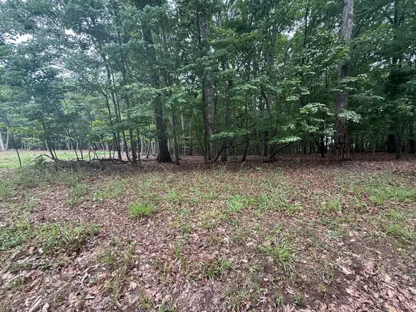 19 Saunders Point RD #Lot, Huddleston, VA 24104