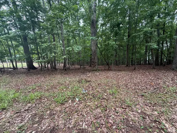 19 Saunders Point RD #Lot, Huddleston, VA 24104