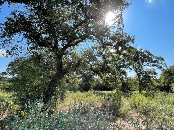 1813 Lone Star LN, Franklin, TX 77856