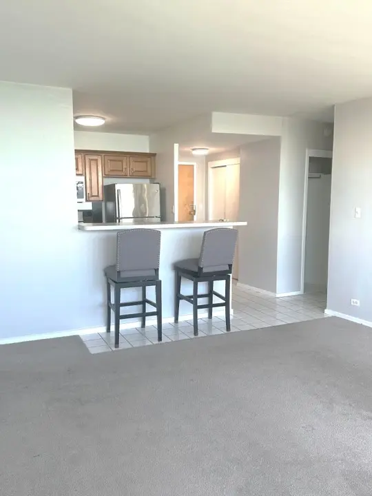 1150 N Lake Shore DR #8B, Chicago, IL 60611