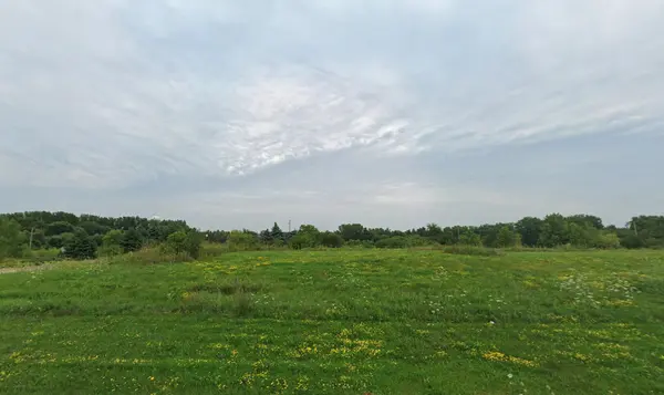 Lot 154 Red Leaf CIR, Lakewood, IL 60014