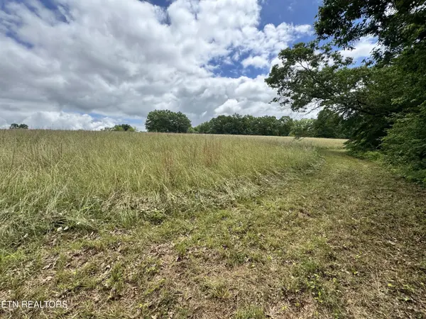 1759 Meister Hills Rd Drive, Deer Lodge, TN 37726