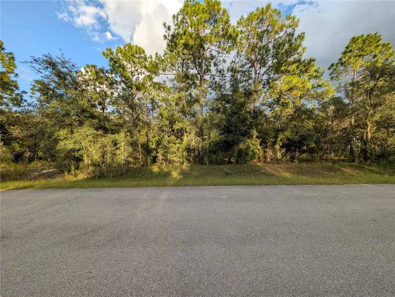 NW BUENA VISTA RD, Dunnellon, FL 34431