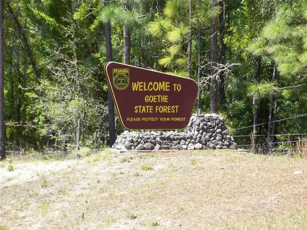 NW BUENA VISTA RD, Dunnellon, FL 34431