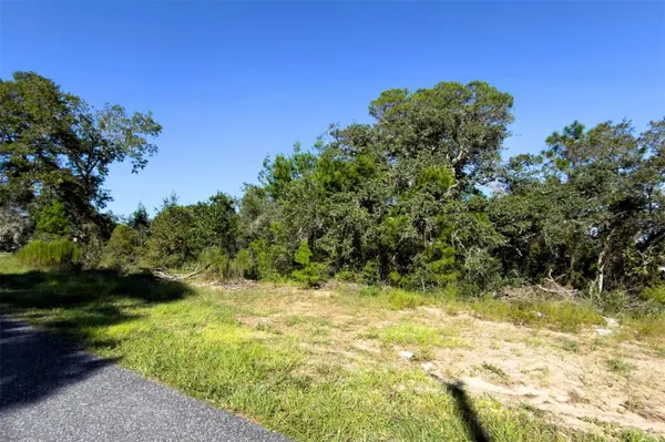 3098 PINTADO AVE, Spring Hill, FL 34609