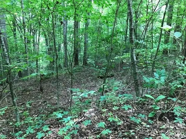 00 Red Oak LN N #Lot #24, Burnsville, NC 28714